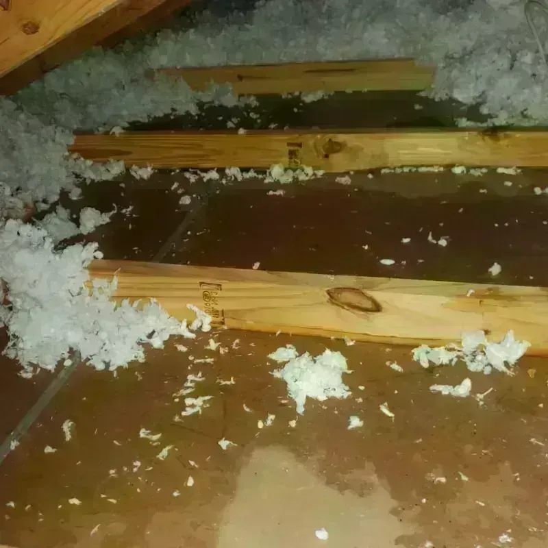 Attic Water Damage in Canajoharie, NY